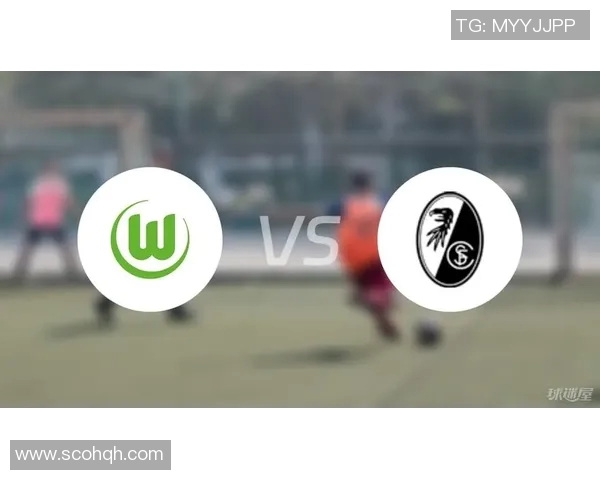 汉堡遭遇沃尔夫斯堡逆转，主场失利令球迷失望